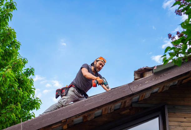 Best Emergency Roof Repair Services  in Louisville, OH